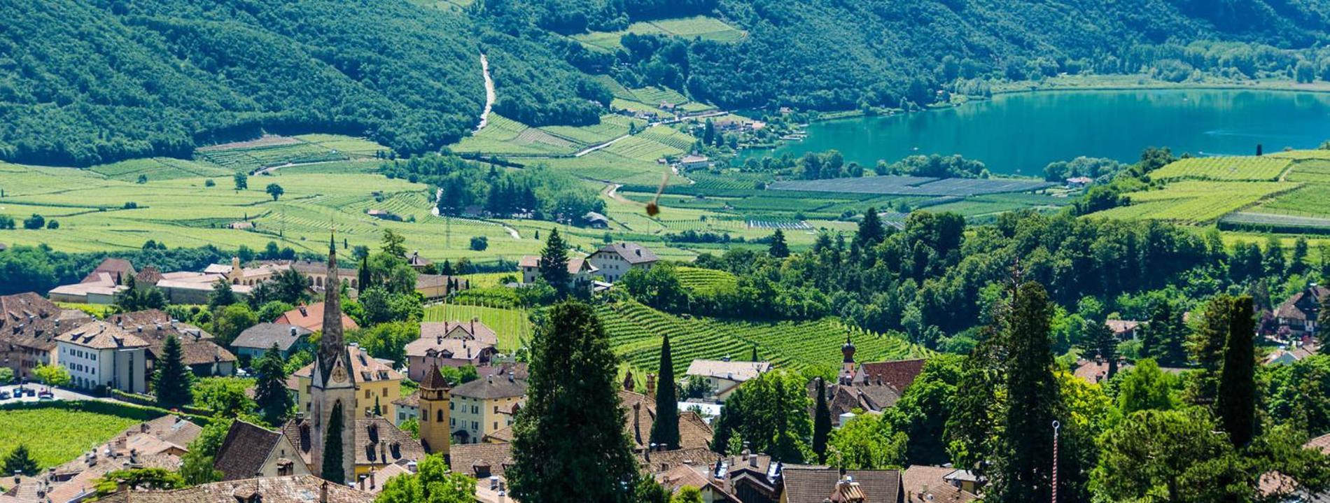 Haus Pobitzer Lägenhet Caldaro Exteriör bild